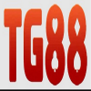 tg88altorg