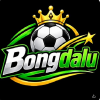 bongdaluvipvoto
