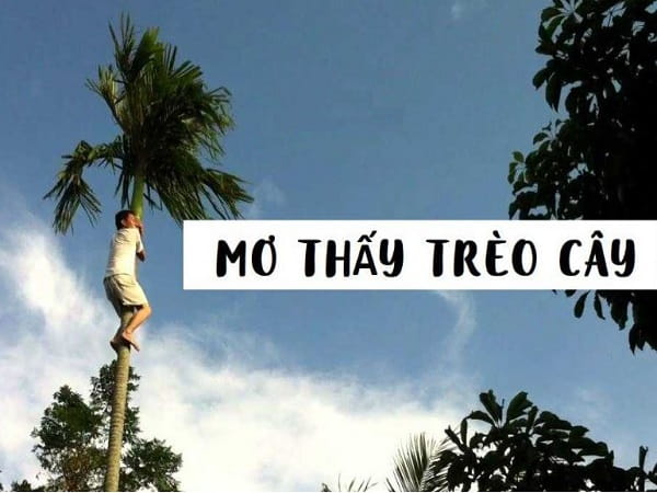 mo thay treo cay tot hay xau