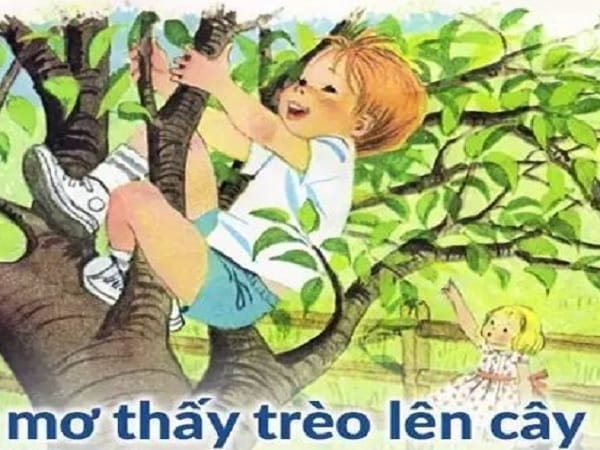mo thay treo cay